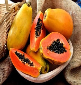 PAPAYA AĞAÇ KAVUNU