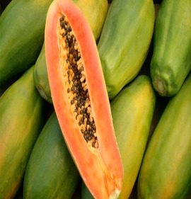 PAPAYA AĞAÇ KAVUNU